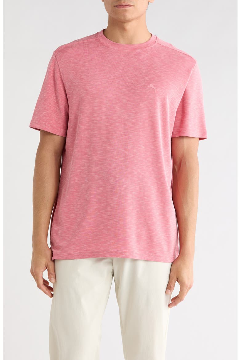 Paradiso Short Sleeve T-Shirt, Main, color, CLARETE