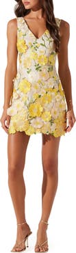 ASTR the Label Aisha Floral Appliqué Sleeveless Minidress