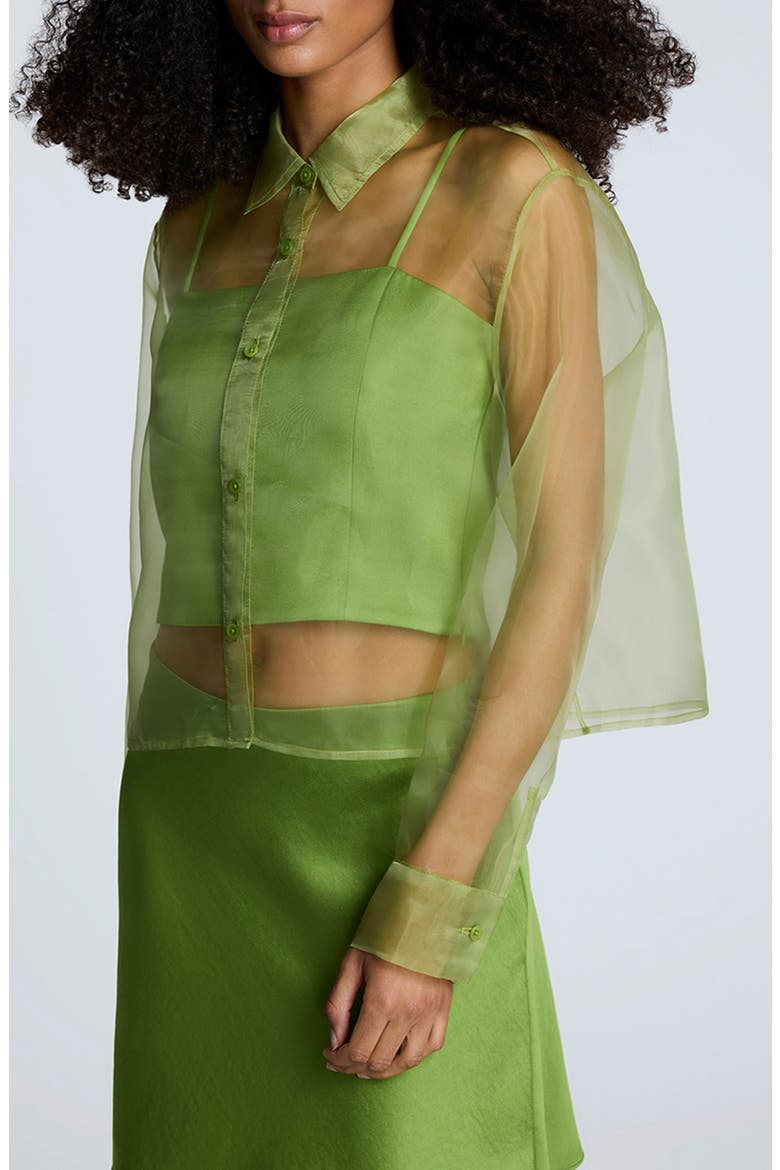 トップス VINTAGE PERFUME SMELL SHEER TOP Kenneth Cole Sheer Organza Button-Up Shirt (Women) | Nordstrom