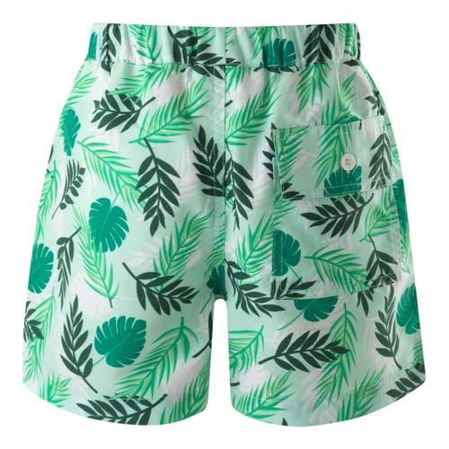 Rachel Riley Boy's Palm Tree Swim Trunks In Green