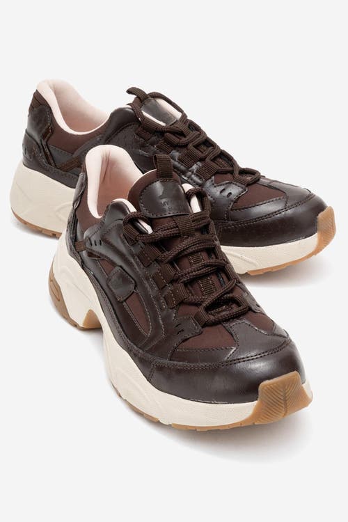 Prologue Shoes Bambi Printed Mesh Sneakers In Brown
