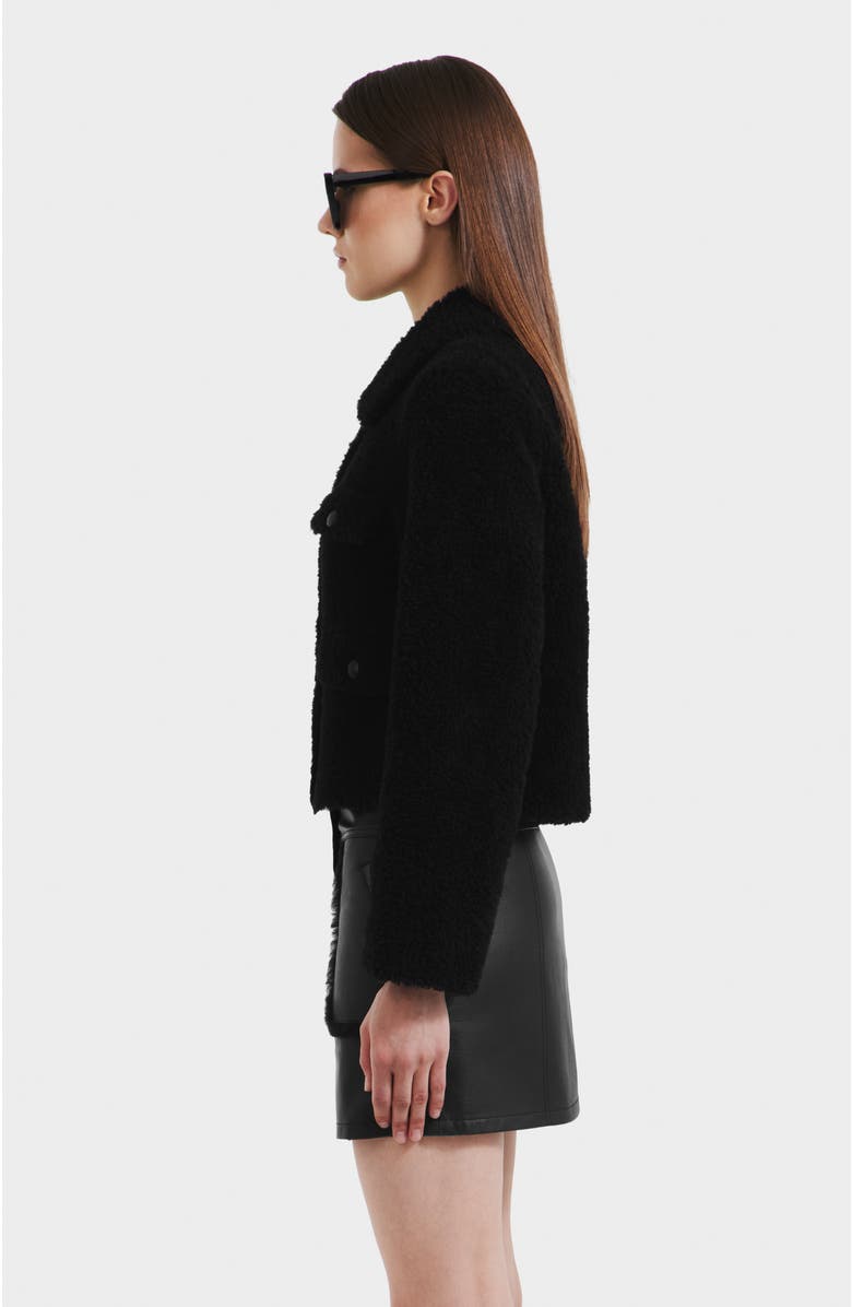 Rudsak Blair Short Wool Teddy Jacket, Alternate, color, Black