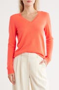 Nordstrom Cashmere V-Neck Sweater