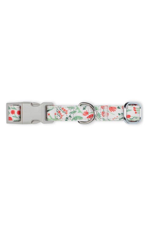 Ditsy Floral Small Dog Collar