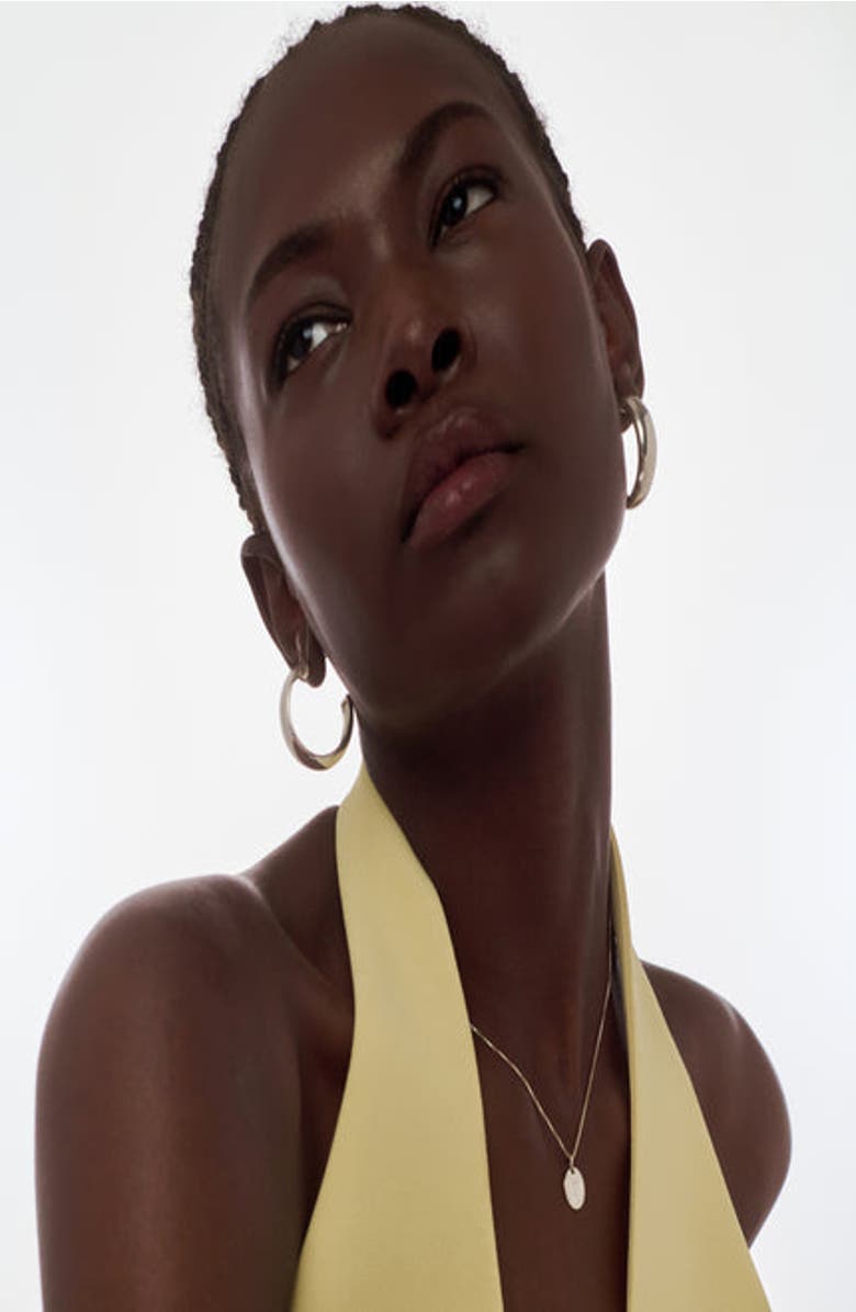 Oak & Luna Willow Initial Disc Necklace- Sterling Silver, Alternate, color, Letter P