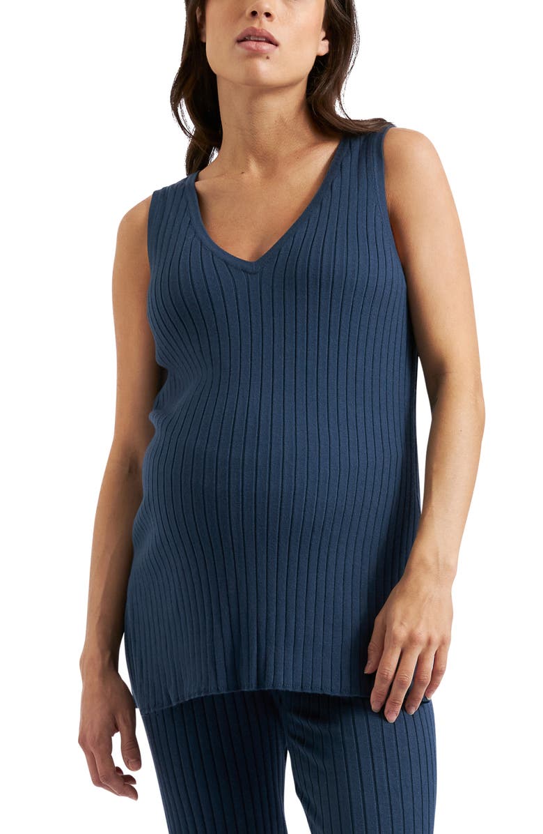 Ripe Maternity Sophie Rib Knit Nursing Top, Main, color, French Navy