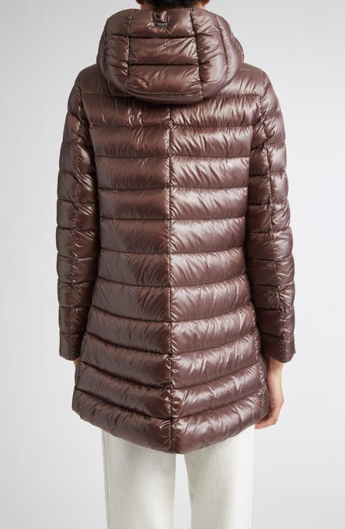 Herno Shiny Nylon Hooded Down Puffer Jacket In Brown