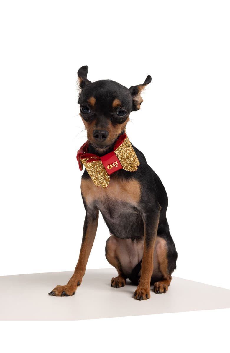 Moshiqa Glam Collar, Alternate, color, Gold