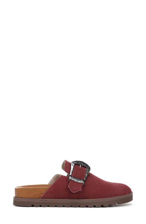 Blowfish Malibu Sienna Buckle Clog