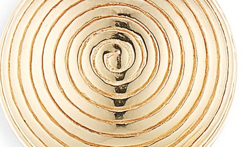 Lie Studio Lié Studio The Carla Drop Earrings In Gold