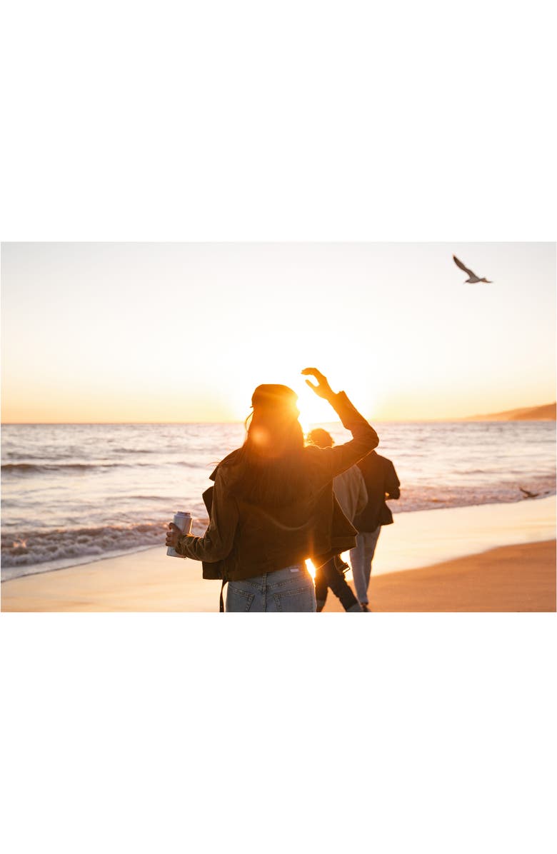 BrüMate Hopsulator Slim Can Cooler, Alternate, color,