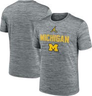 Jordan Brand Men's Jordan Brand Heather Gray Michigan Wolverines Campus Slant Velocity Performance T-Shirt
