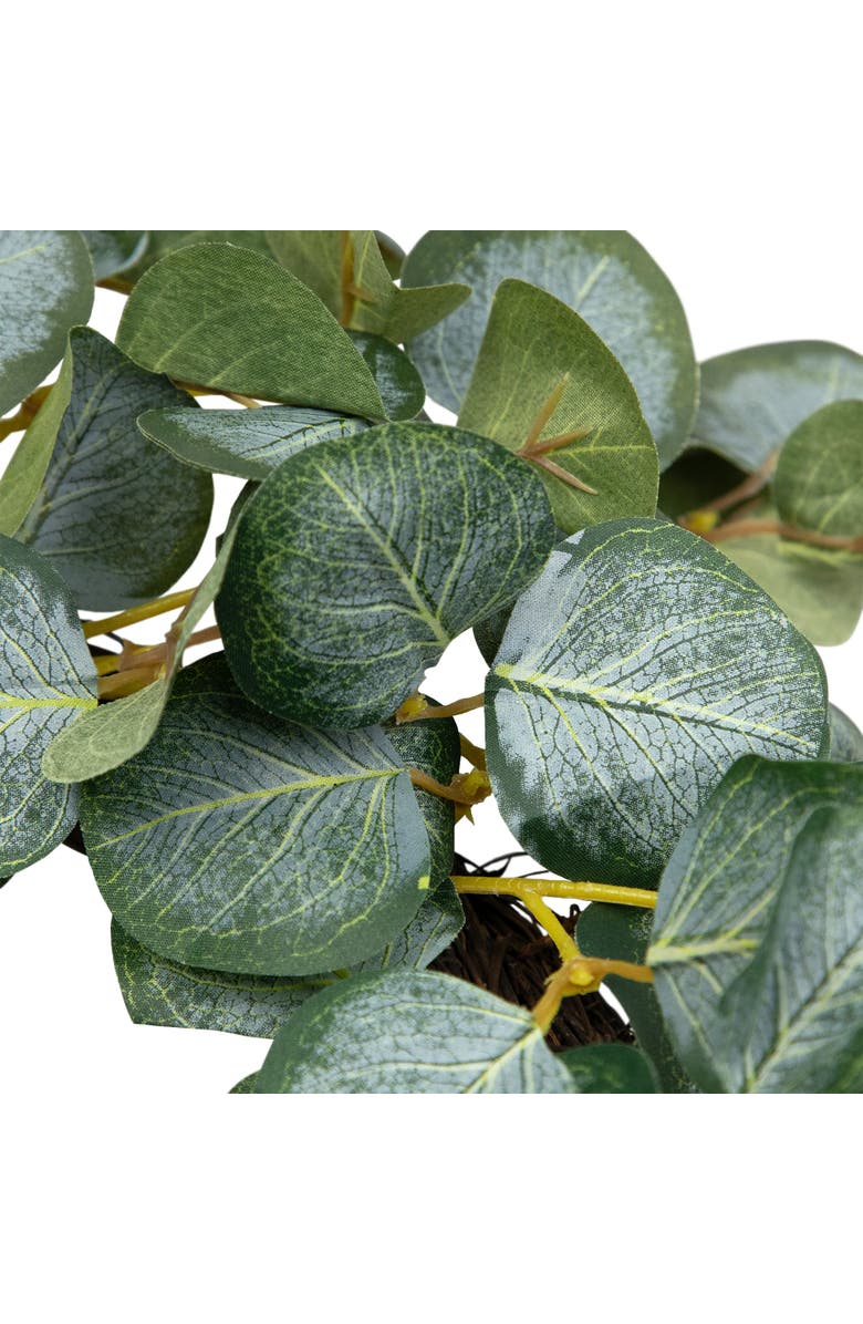 Northlight Eucalyptus Leaves Artificial Botanical Spring Wreath - 20", Alternate, color, Green
