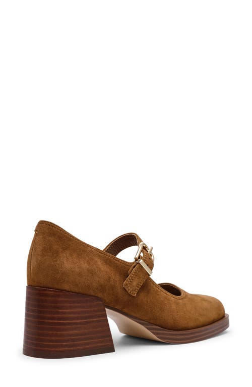 Steve Madden Lisbon Mary Jane Pump In Brown