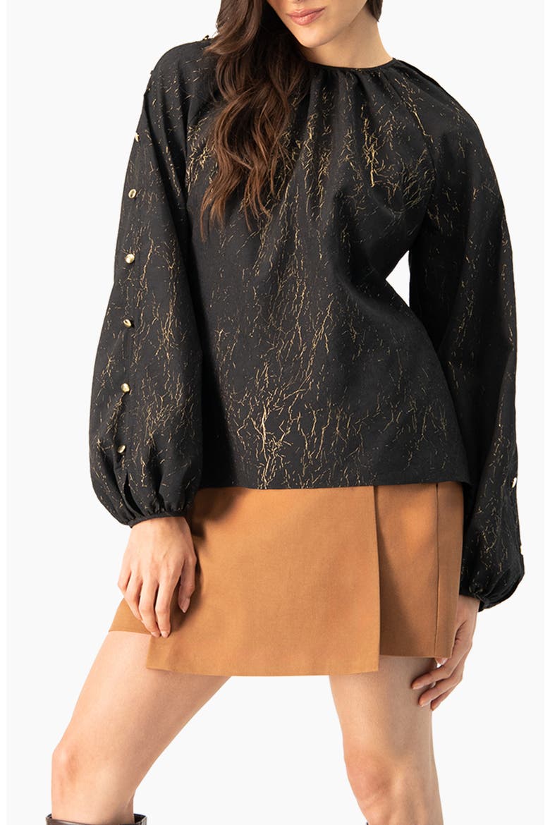 Long Sleeve V-Neck Blouse, Alternate, color, Black