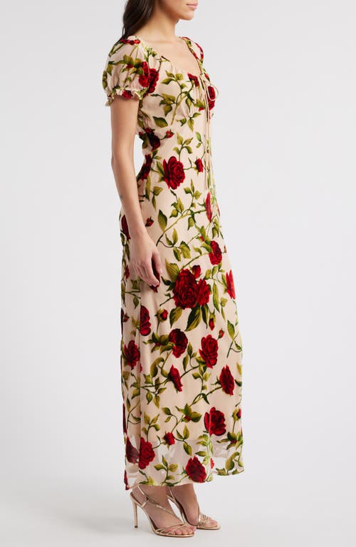 Rare London Rose Devoré Maxi Dress In Beige Multi