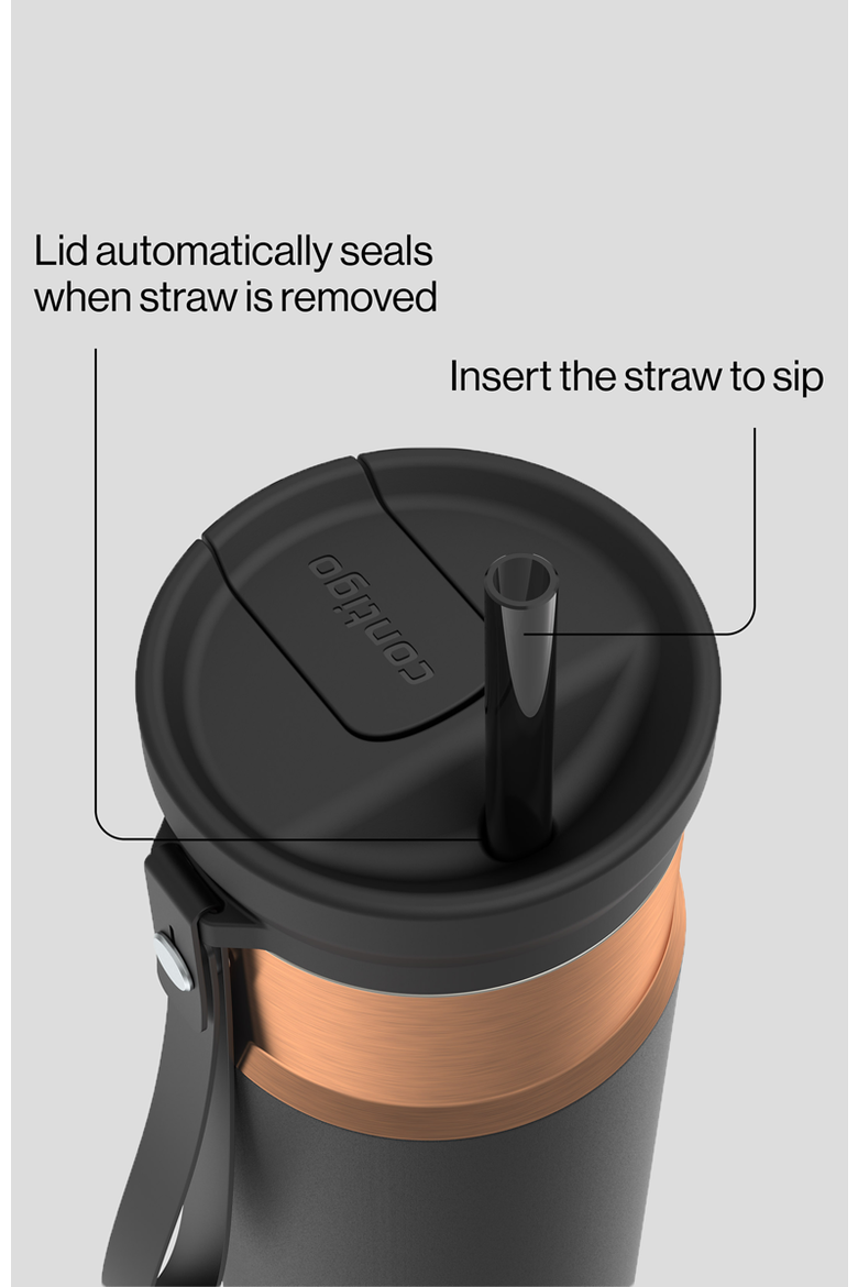 SnapSeal 24 oz Leakproof Stainless Steel Bottle with Carrying Strap and Reusable Straw, Alternate, color, Licorice Bronze