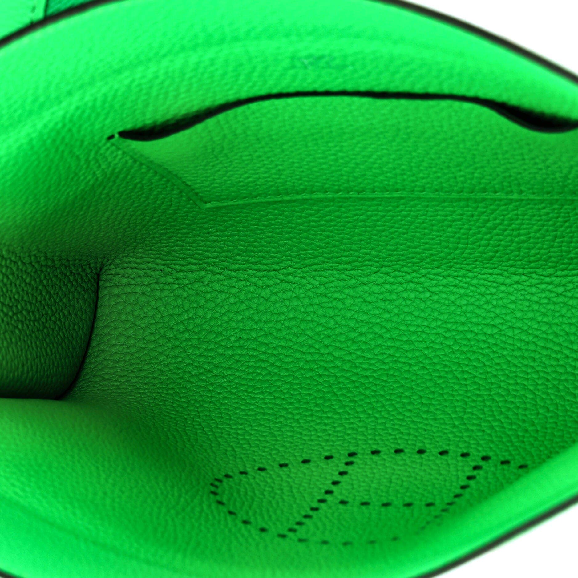 Videpoches Bag Togo, Alternate, color, Green