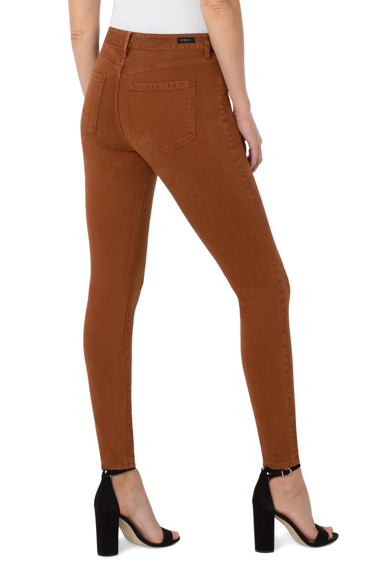 Abby Skinny Pants, Alternate, color, CINNAMON