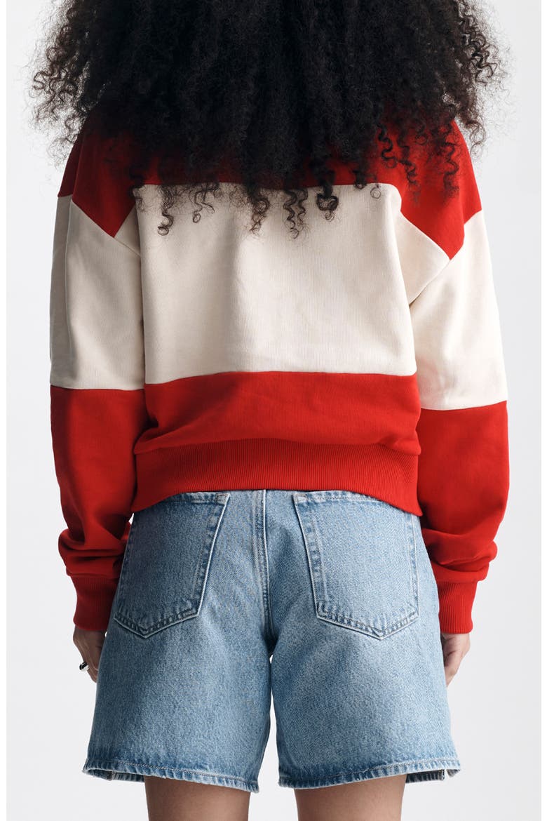 Colorblock Polo Sweatshirt, Alternate, color, GOJI BERRY