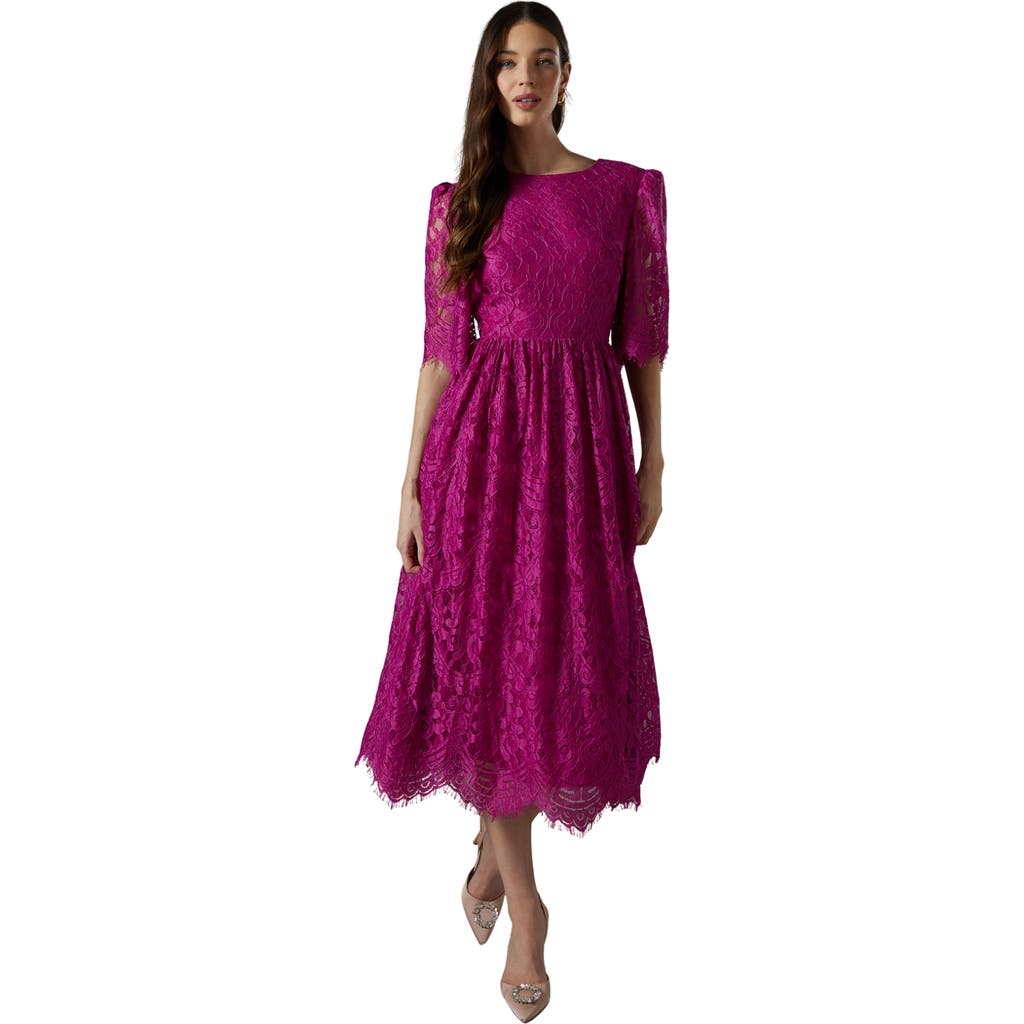 Coast Lace Short Sleeve Midi Dress In Purple