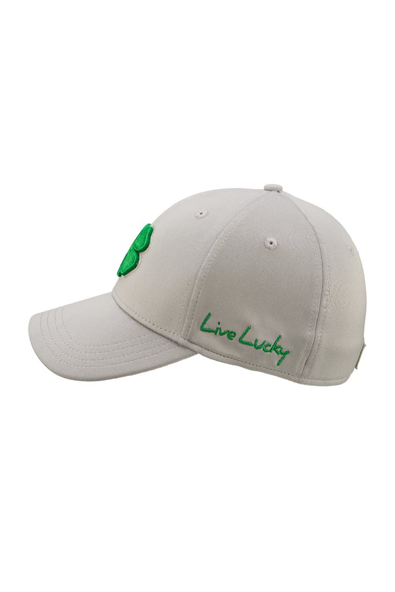 Premium Clover 134 Hat, Alternate, color, Silver