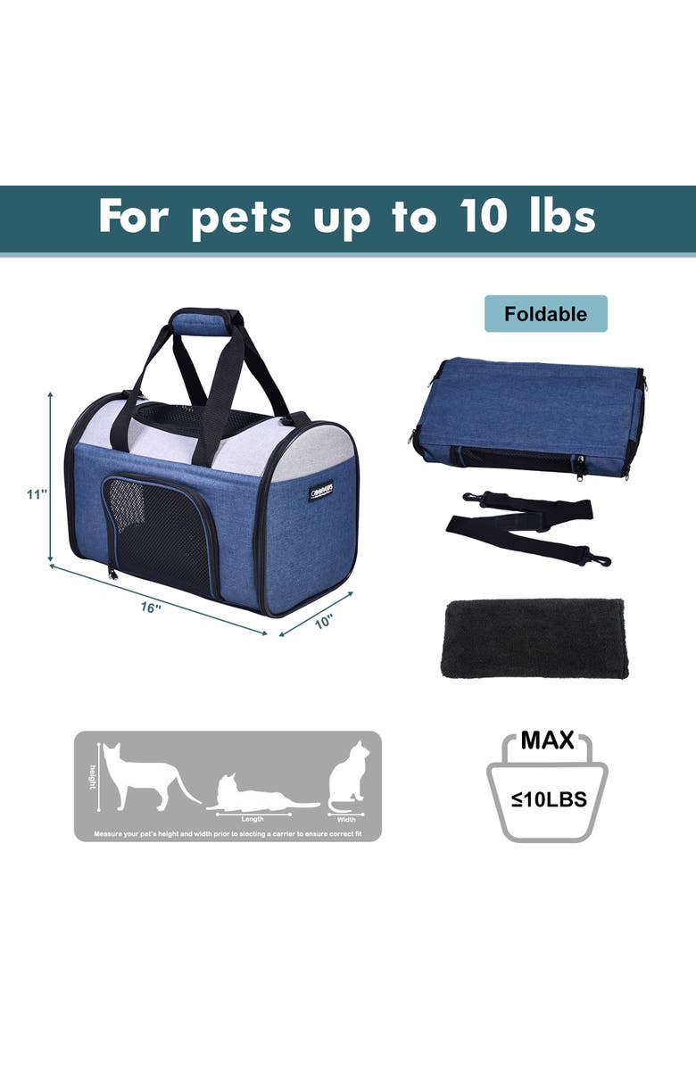 JESPET Sport Airline Pet Carrier, Alternate, color, Multicolored