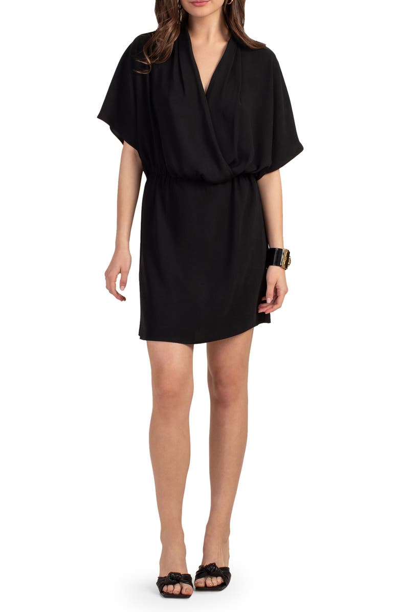 Trina Turk Concourse Dolman Sleeve Dress, Main, color, 
