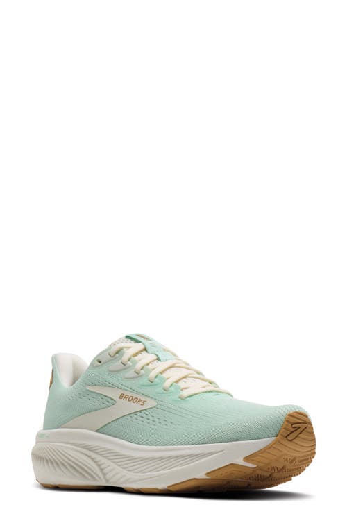 Brooks Ghost 17 Running Shoe