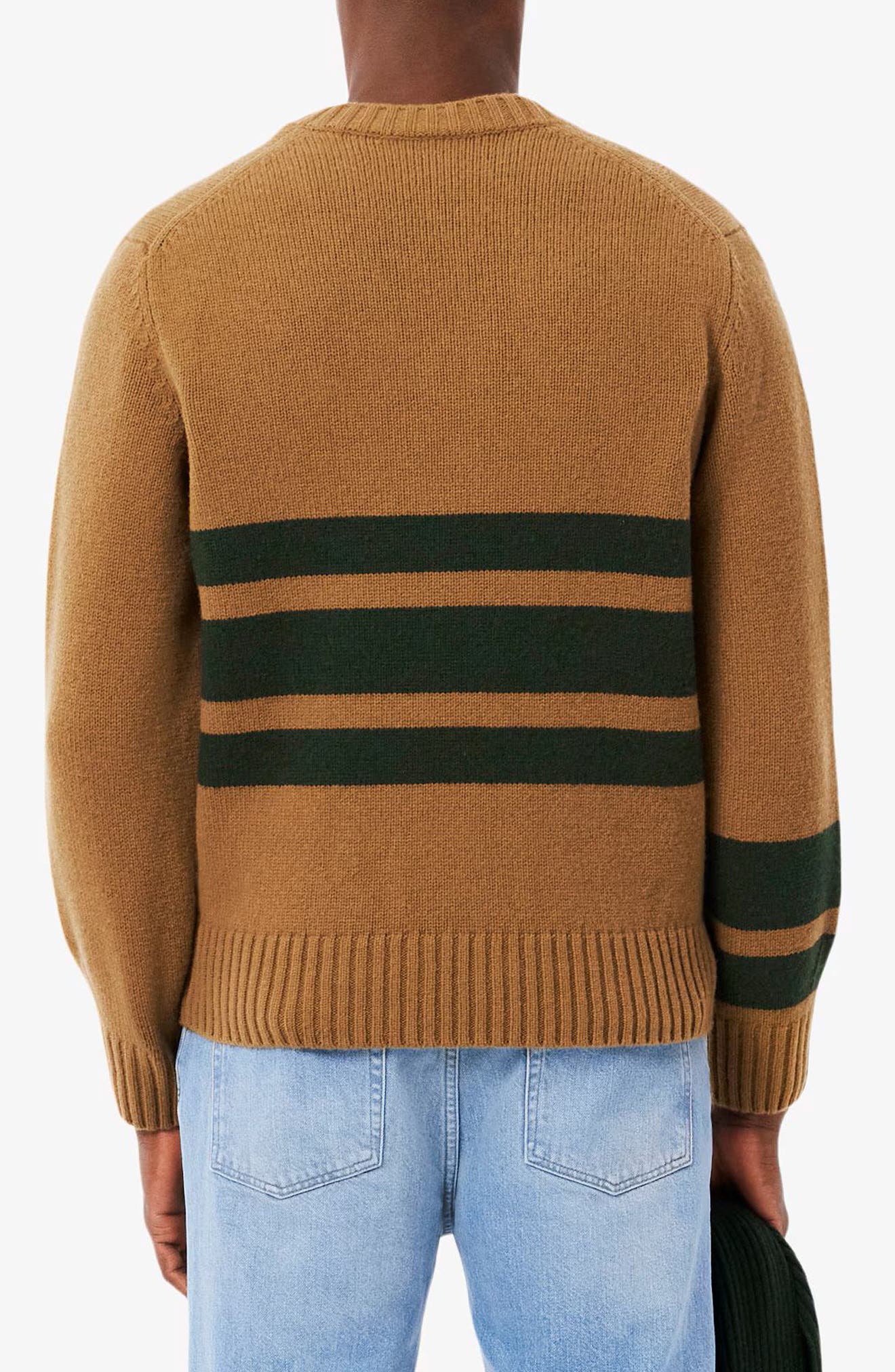 Classic Stripe Wool V-Neck Sweater (Men) | Nordstrom