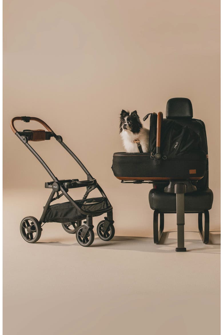 Maeve™ Medium Rigid 3-in-1 Pet Car Seat & Stroller, Alternate, color, ONYX