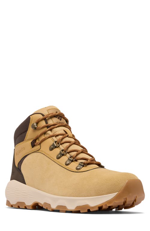 Columbia Newton Wander™ Waterproof Hiking Boot In Brown