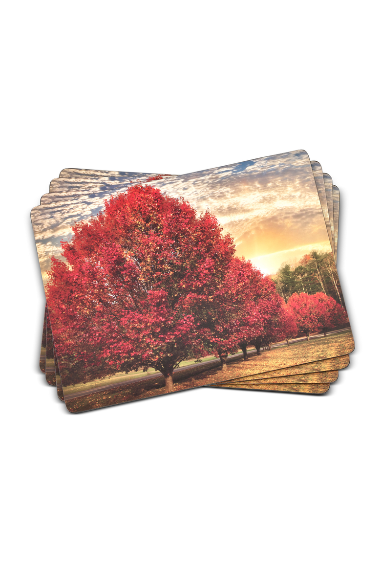 Crimson Trees Set of 4 Cork Back Placemats, Main, color, Multi