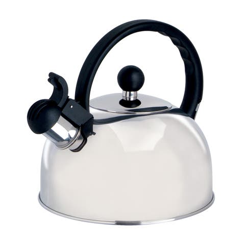 Springberry 2.25 Qt. Stainless Steel Kettle