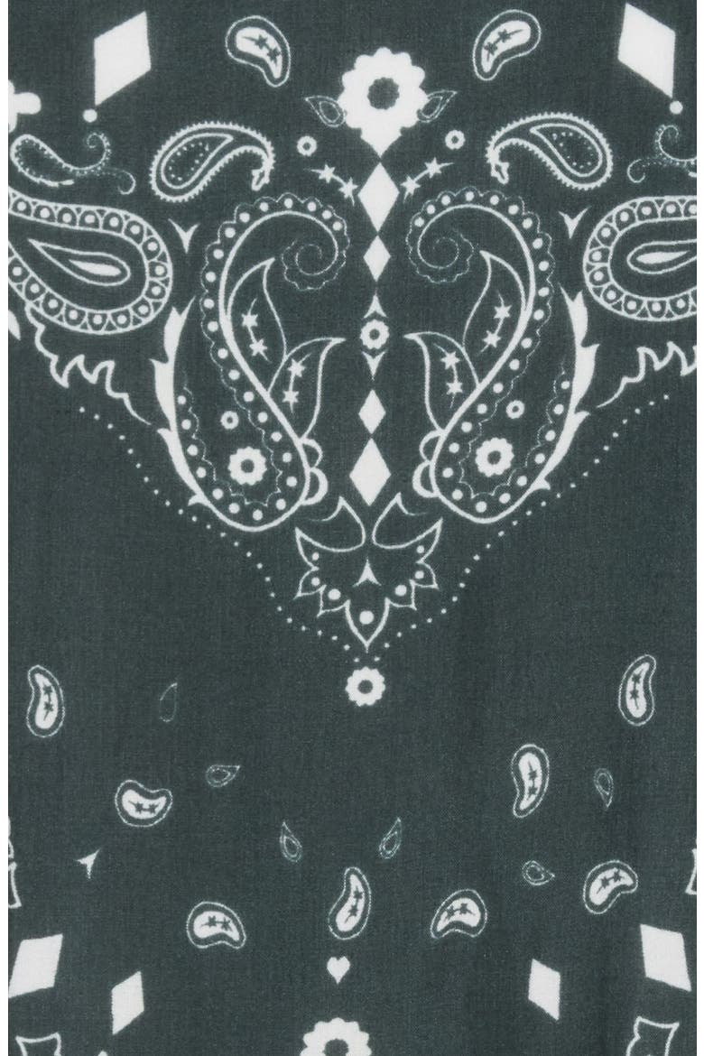 Eyelet Trim Skinny Scarf, Main, color, DARK GREEN
