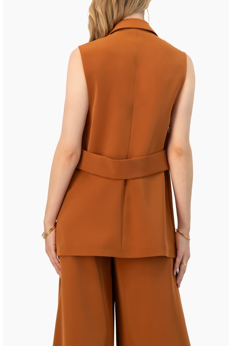 Single-button Tailored Vest, Alternate, color, Brown