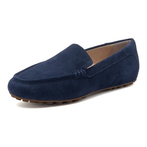 Abeo Harbor In Navy Suede - Regular