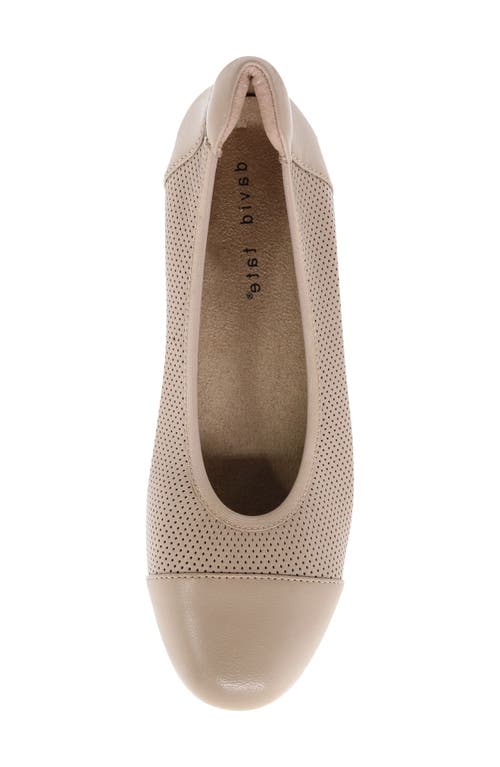 David Tate Newton Cap Toe Flat In Taupe
