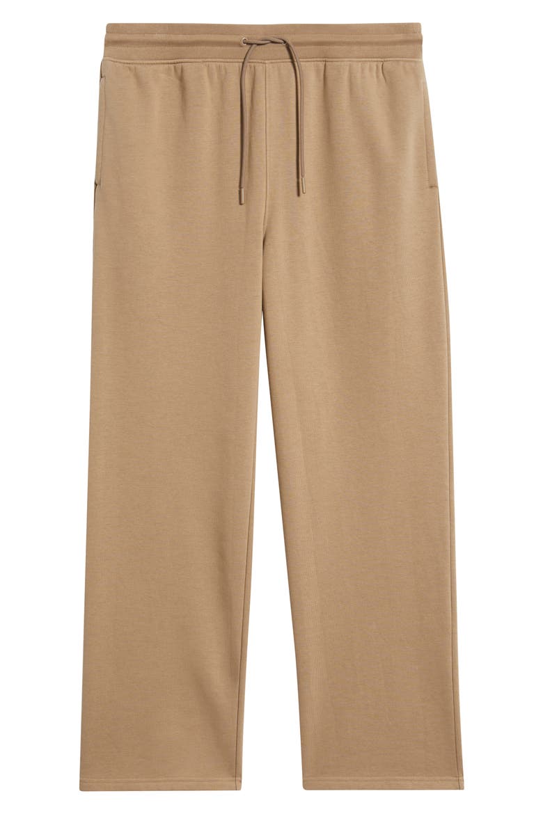 Vital Fleece Pants, Alternate, color, TAN FOSSIL