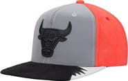 Mitchell & Ness Men's Mitchell & Ness Gray/Red Chicago Bulls Day 5 Snapback Hat