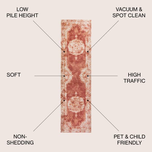 Jonathan Y Rosalia Cottage Medallion Area Rug In Peach/ivory