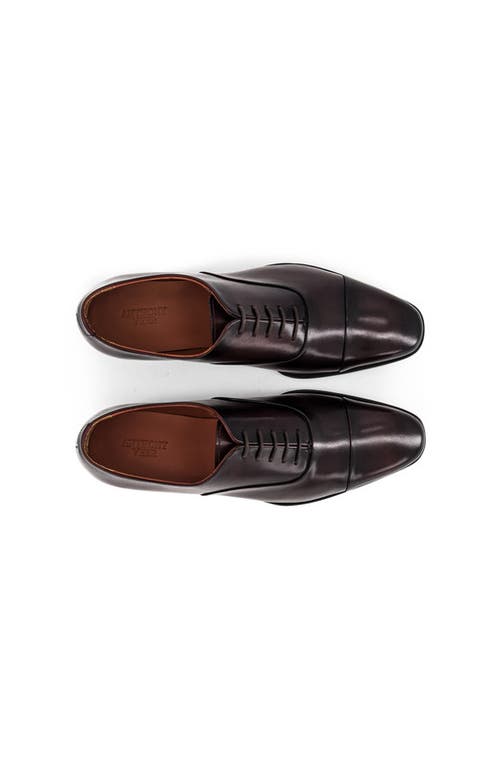 Anthony Veer Genoa Cap Toe Oxford In Brown