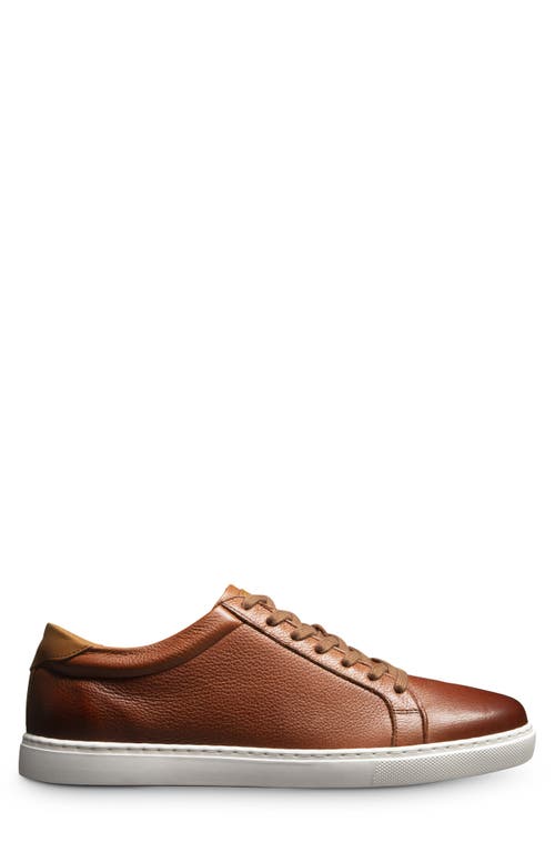 Allen Edmonds Courtside Sneaker In Chili