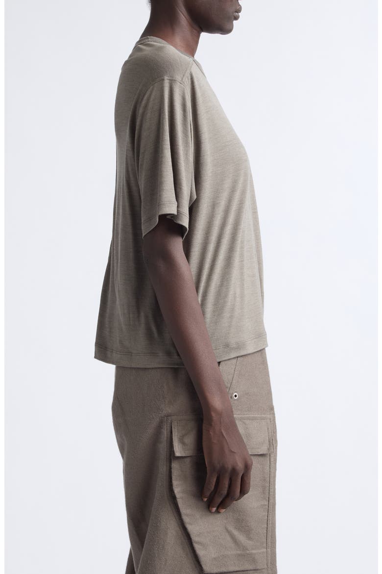 Brad Cropped Wool T-Shirt, Alternate, color, DUST