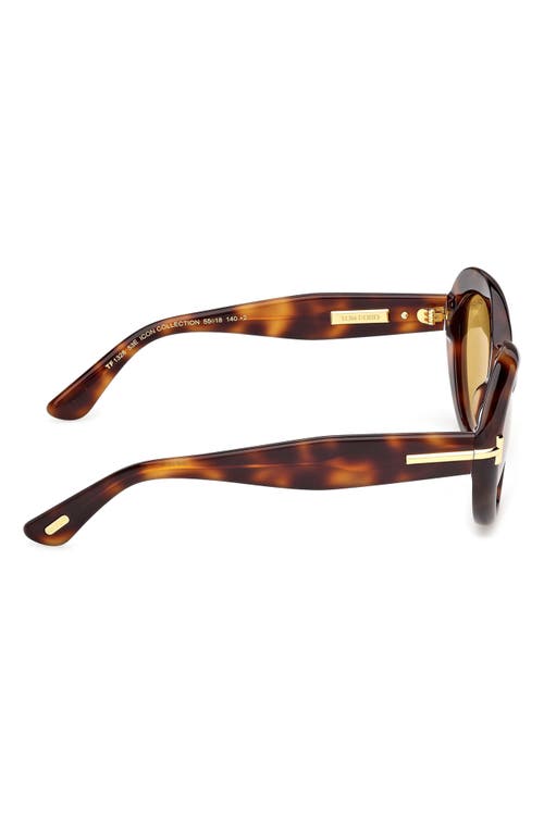 Tom Ford 55mm Oval Sunglasses In Brown