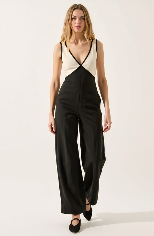 Modenaire Sleeveless Wide Leg Jumpsuit With Deep V-neckline