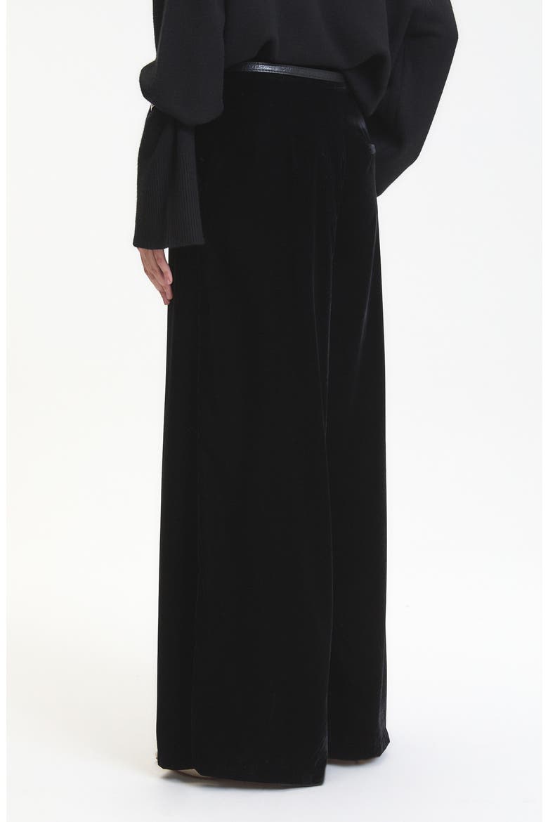 Daisy Velvet Wide Leg Pants, Alternate, color, BLACK