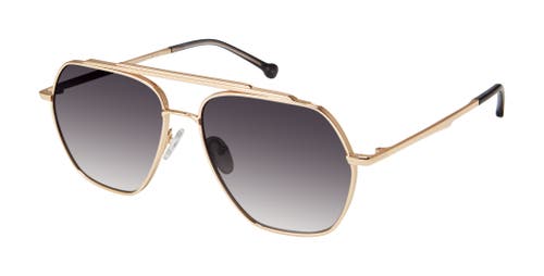 Colors In Optics Mariner Sunglasses In Gold