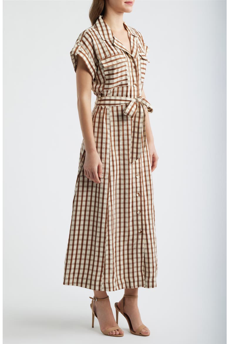 Portia Stripe Maxi Shirtdress, Alternate, color, BROWN CHECK