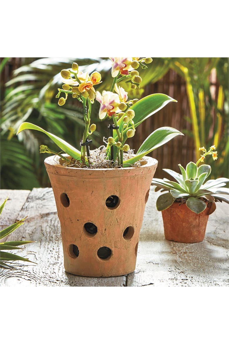 Rustic Terracotta Orchid Pot Garden Planter for Flowers, Alternate, color, Orange